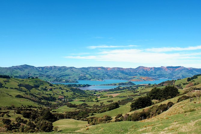 Akaroa and Banks Peninsula Wild Penguins Tour - Traveler Requirements