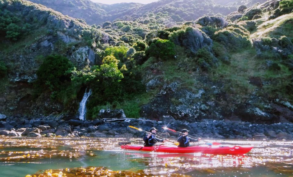 Akaroa: Guided Sea Kayaking Safari at Sunrise - Booking Details