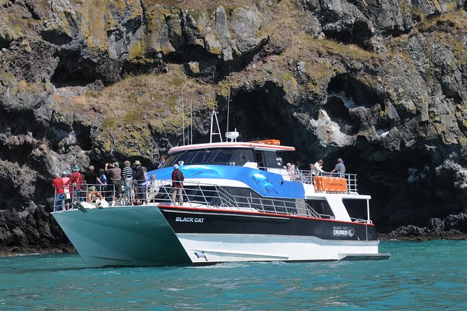 Akaroa Harbour Nature Cruise - Booking Information