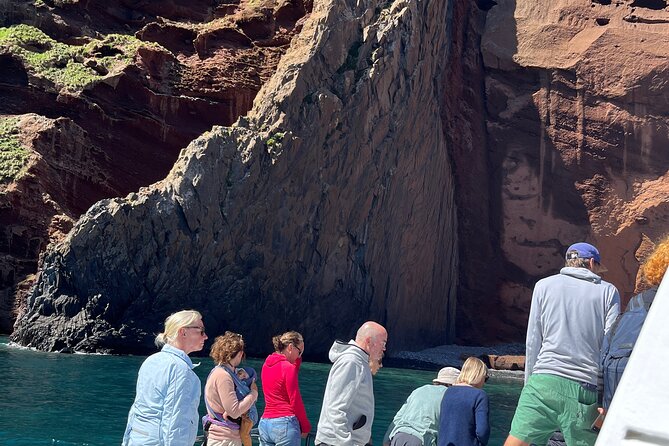 Akaroa Wildlife Cruise - Customer Reviews and Feedback