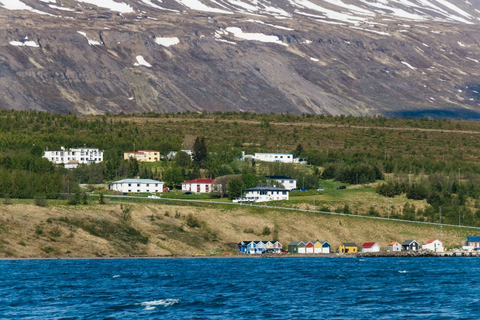 Akureyri: 3-Hour Classic Whale Watching Tour - Booking Information