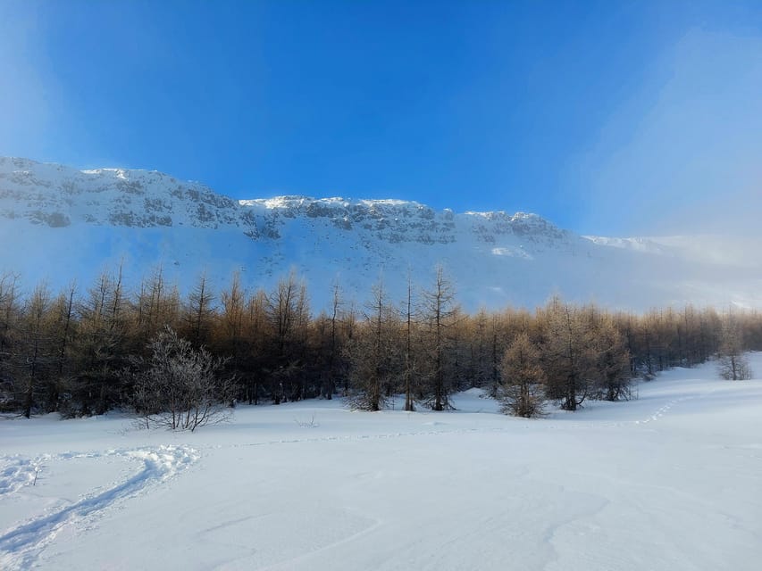 Akureyri: Snowshoeing With the Traveling Viking - Booking Your Adventure