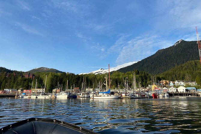 Alaska Ocean Wilderness Expedition - Guest Experiences and Testimonials