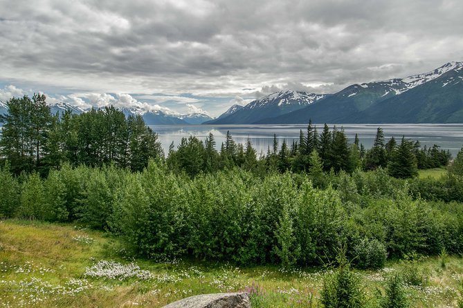 Alaska Wildlife Day Tour With Free Hotel Pickup - Important Safety Guidelines