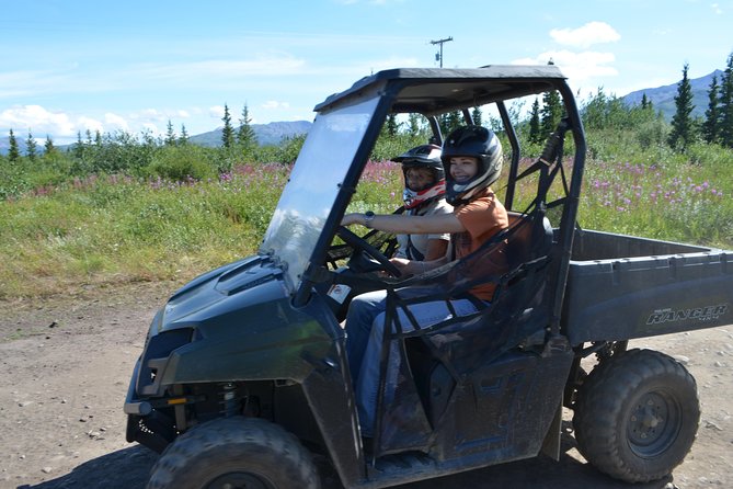 Alaskan Back Country Side by Side ATV Adventure With Meal - Review Summary