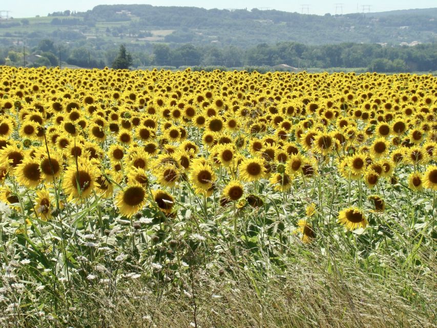 Albi, Cordés-Sur-Ciel & Gaillac: Day Trip From Toulouse - Whats Included