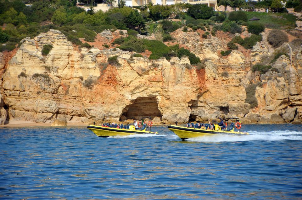 Algarve Coast: Dolphin Watching & Cave Tour - Restrictions and Recommendations