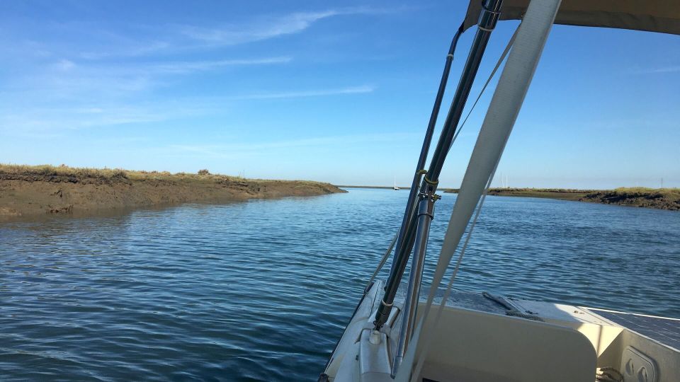 Algarve: Eco Boat Tour in the Ria Formosa Lagoon From Faro - Safety Measures and Inclusions