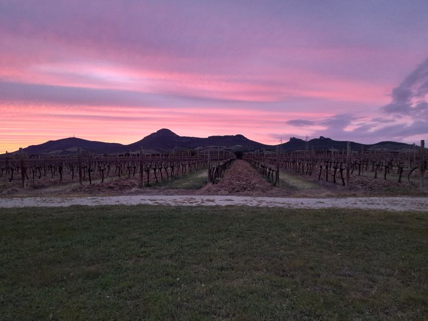 Alghero: Dinner in the Vineyard With Wine - Wine Selection and Pairing