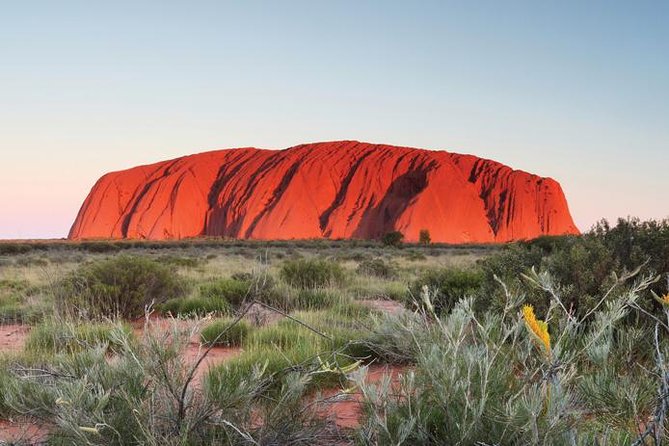 Alice Springs to Ayers Rock (Uluru) One Way Shuttle - Customer Reviews