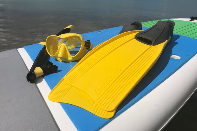 All Day Snorkeling Gear Rental in Puerto Rico - Exploring Cabezas De San Juan
