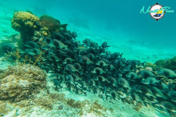 All Inclusive Snorkeling at Hol Chan - Recommendations for Tour Participants