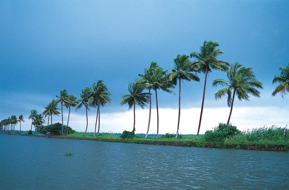 Alleppey Shikara Boat Ride - Detailed Itinerary