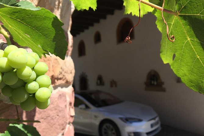 Alsace Tour: Wine Tasting, Villages & Castle Visits With Friendly Tesla Driver - Cancellation Policy