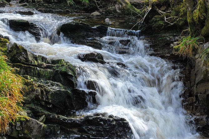 Alternative Loch Ness Tour by Secret Highlands - Private Tour Benefits