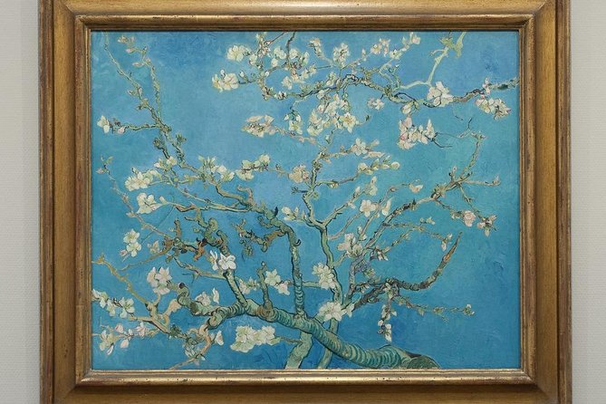 Amsterdam Van Gogh Museum PRIVATE TOUR With a Local PRIVATE Guide - What to Expect During the Tour