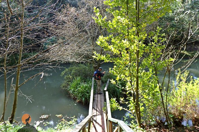 An Adventure Through the Forest and Palace of Bussaco - Coimbra - Inclusions and Services Provided