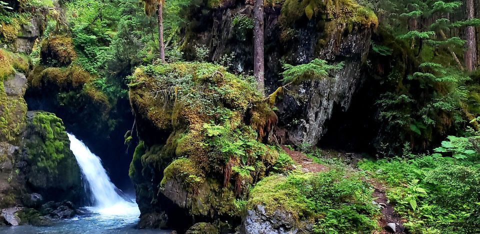 Anchorage: Mystery Sightseeing Tour - Chugach State Park