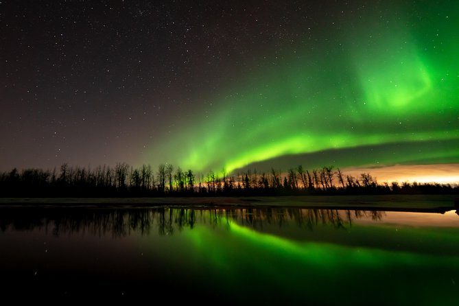 Anchorage Northern Lights Tour - Guest Experiences and Feedback