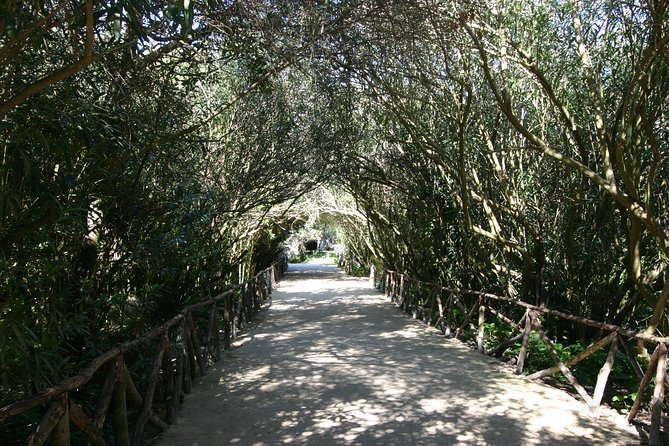 Ancient Syracuse: Private Guided Tour of the Neapolis Archaeological Park - Additional Recommendations