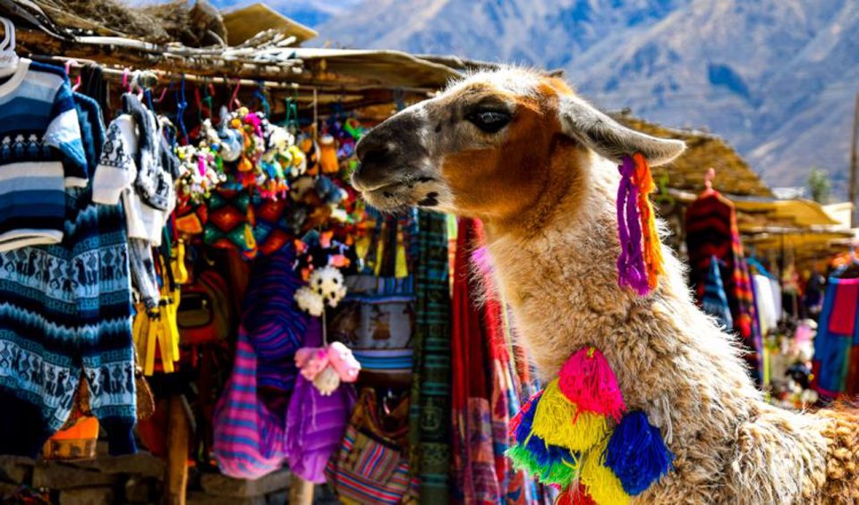 Andes: Colca Canyon Day-Trip - Best Time to Visit