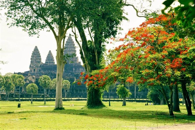 Angkor Wat One Day Private Tour for All Highlight Angkor Temples - Angkor Thom