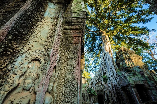 Angkor Wat Sunrise & All Highlight Angkor Temple Private Day Tour - Sunrise Tour of Angkor Wat