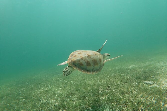 Antilla Shipwreck Seabob Tour - Exploring the Antilla Shipwreck