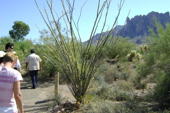 Apache Trail and Dolly Steamboat Van Tour - Booking and Requirements