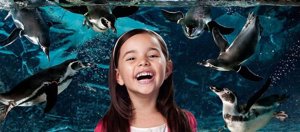 Aquarium of Cattolica Entry Ticket - Location and Contact Information