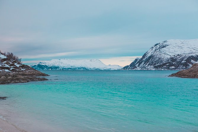Arctic Fjord Sightseeing by Minibus - Tour Policies and Considerations