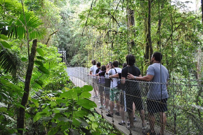 Arenal Highlights: Hanging Bridges, La Fortuna Waterfall, Volcano - Tips for a Great Experience