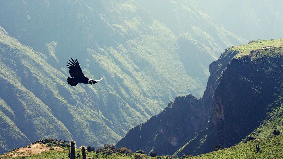 Arequipa & Colca Canyon Multi-Day Tour - Colonial Towns of Colca