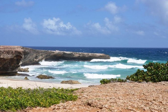 Arikok Adventurous Hiking Experience in Aruba - Participant Reviews and Feedback