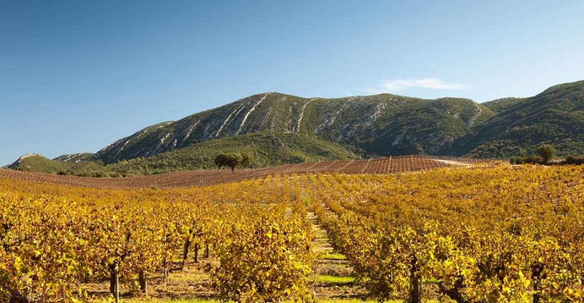 Arrabida Natural Park Full-Day Private Tour From Lisbon - Azeităo Tile Workshop