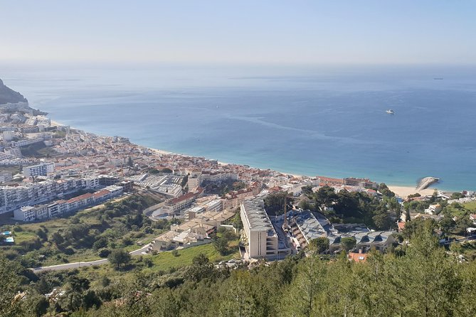 Arrábida / Olive - Cancellation Policy