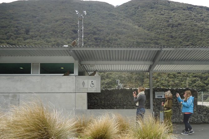 Arthurs Pass and Southern Alps Day Excursion From Port Lyttelton or Christchurch - Pricing Details