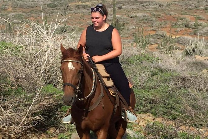 Aruba Horseback Riding Tour to Hidden Lagoon - Cancellation Policy