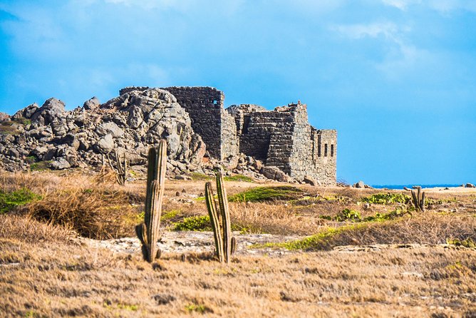 Aruba Island Sightseeing Tour Plus Arashi Beach Visit - What to Expect