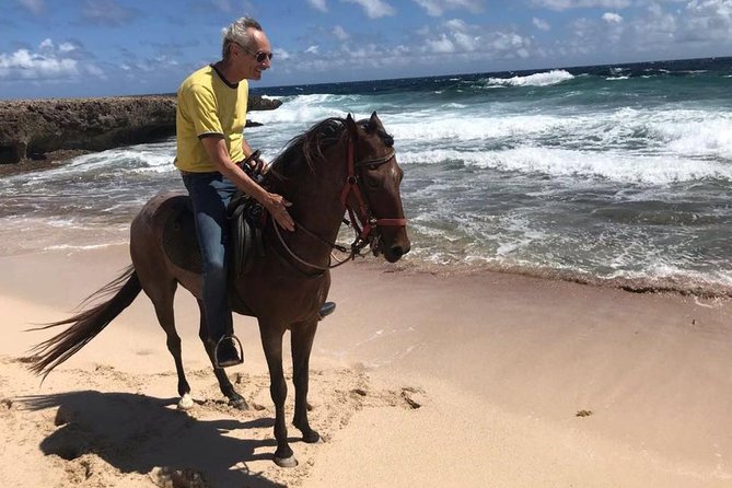 Aruba Private, 2 Hour Horseback Riding Tour For Advanced Riders - Important Participation Information