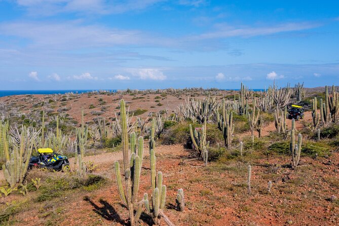 Arubas Wild Side - UTV Tour Exploring the Northern Treasure - Cliff Jumping at Tres Trapi