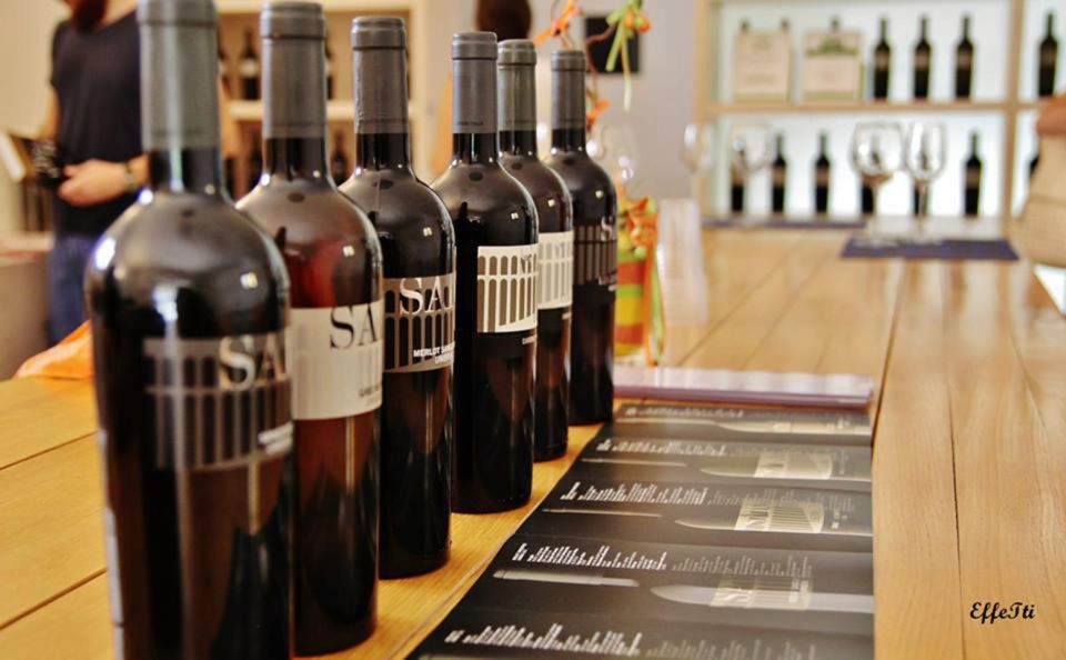 Assisi: Wine Tasting, Gourmet Pairing, Walk in the Vineyards - Tips for Your Visit