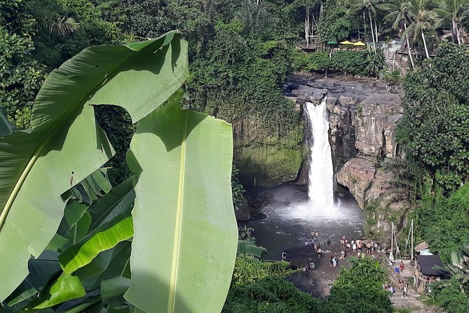 ATV Rafting Waterfall Ubud Best Seller Private Tour Double Meal - Visiting Coffee Plantation