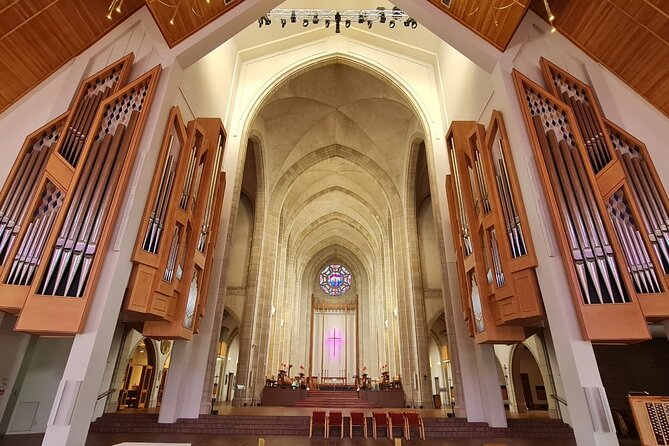 Auckland City Highlights Half Day Tour - Customer Experiences and Feedback