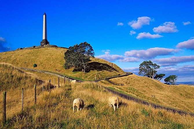Auckland City Private Tour for Couples. Be Chauffeur Driven With Added Extras. - Seamless Booking Process