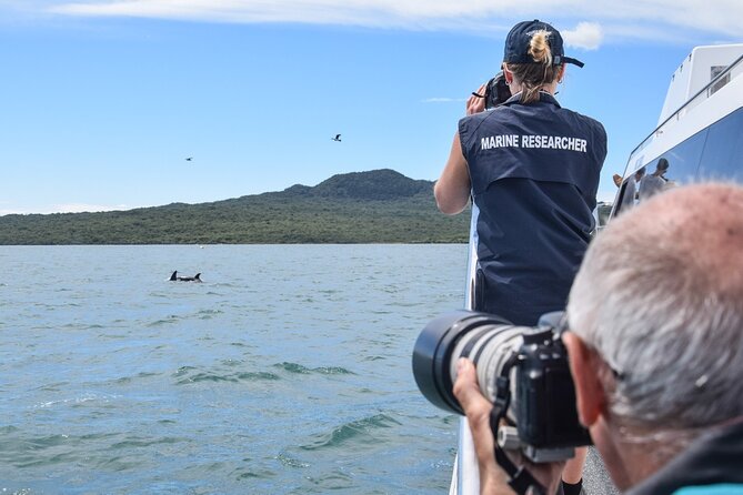 Auckland Dolphin and Whale Watching Eco-Safari Cruise - Tips for a Successful Trip