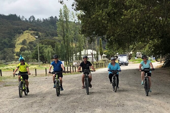 Auckland Half Day E-Bike Excursion - Booking Your Adventure