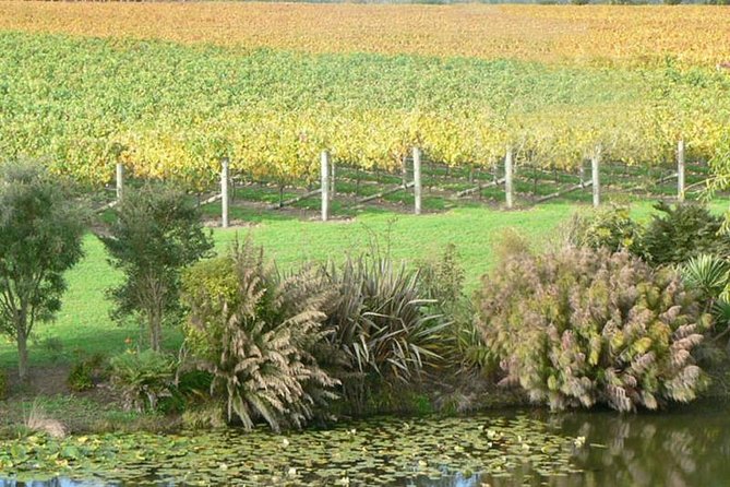 Auckland Shore Excursion: West Coast Wineries Tour - Wine Varieties to Taste