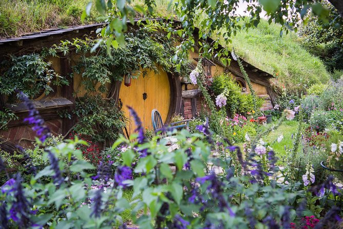 Auckland to Rotorua via Hobbiton Small Group Tour (One Way) - Additional Tour Information