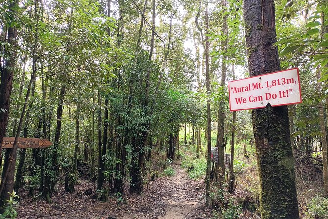 Aural Mountain Trek: Cambodia Tallest Peak Challenge - Traveler Feedback and Reviews